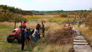 Na Vranskom jezeru održana akcija krčenja vegetacije Na Vranskom jezeru održana akcija krčenja vegetacije