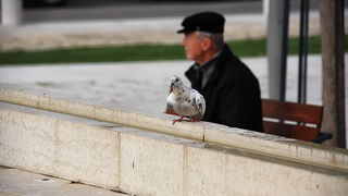 Skitnja gradom 25. ožujka 2014. Foto: Roberto Lerga Skitnja gradom 25. ožujka 2014. Foto: Roberto Lerga