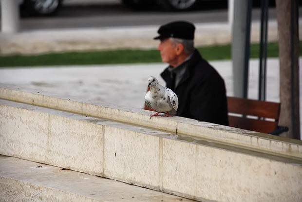 Skitnja gradom 25. ožujka 2014. Foto: Roberto Lerga Skitnja gradom 25. ožujka 2014. Foto: Roberto Lerga
