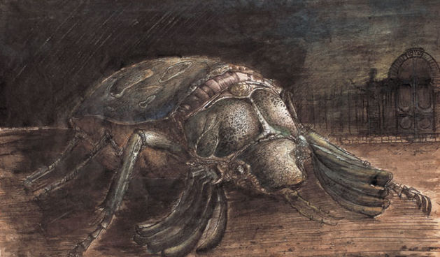 Kukac (Dimitrije Popovic)