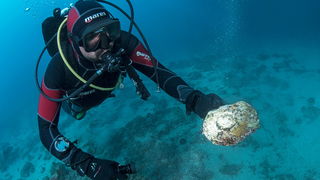 Pag: Otkrivena olupina rimskog broda iz prvog stoljeća prije Krista