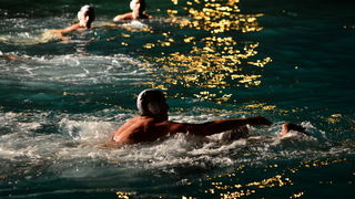 VAK”AN”ZA 31%, finale: Reptili – Nesvrstani 2-4 VAK”AN”ZA 31%, finale: Reptili – Nesvrstani 2-4