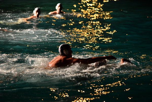 VAK”AN”ZA 31%, finale: Reptili – Nesvrstani 2-4 VAK”AN”ZA 31%, finale: Reptili – Nesvrstani 2-4