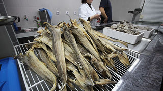 Đir po pešakariji 6. travnja 2012. (foto:Saša Čuka) Đir po pešakariji 6. travnja 2012. (foto:Saša Čuka)