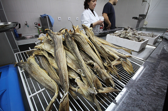 Đir po pešakariji 6. travnja 2012. (foto:Saša Čuka) Đir po pešakariji 6. travnja 2012. (foto:Saša Čuka)