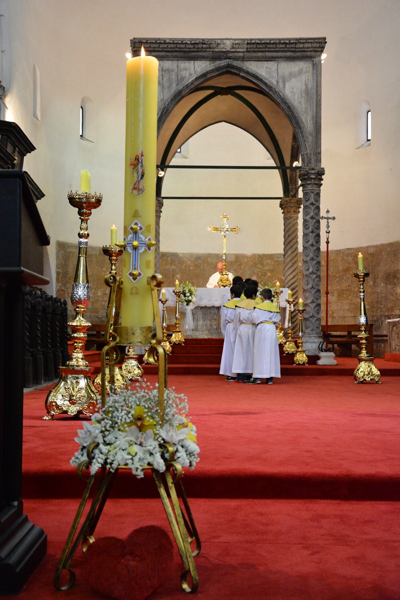 Sakrament Prve pričesti u katedrali sv. Stošije, foto- Iva Perinčić