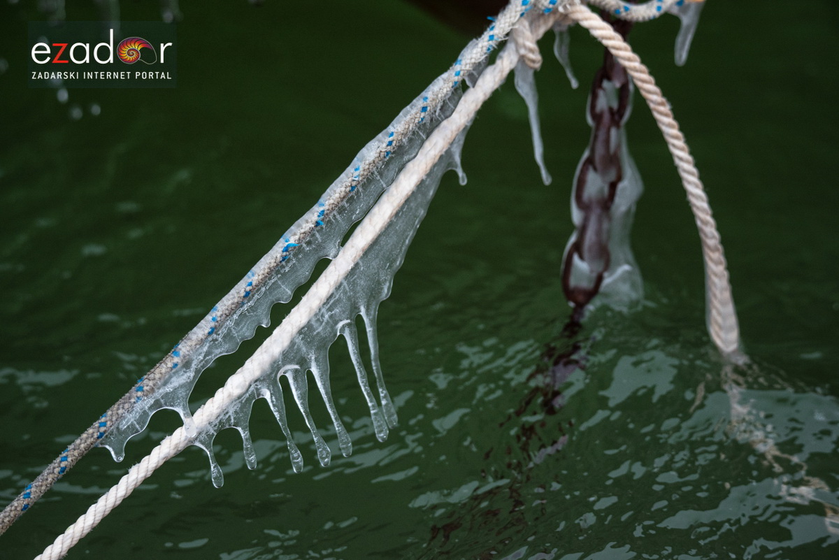 Zimska idila u Parku prirode Vransko jezero Zimska idila u Parku prirode Vransko jezero