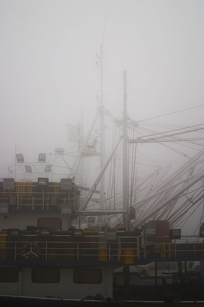 Zadar, magla svuda oko nas