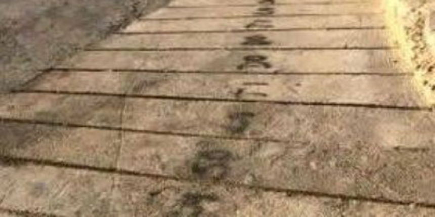 Ražanačke orgulje “Dnevna doza prosječnog Dalmatinca” Ražanačke orgulje “Dnevna doza prosječnog Dalmatinca”