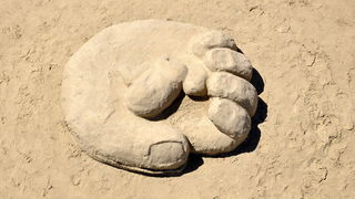 Lopar, 150612.
Nakon tri dana zavrsen je Prvi festival skulpture u pijesku
Najpjescanija plaza u Loparu, Rajska plaza ugostila je umjetnike i studente likovne akademije iz Zagreba na prvom festivalu skulpture u pijesku. Ukupno je izradjeno sedam skulptur Lopar, 150612.
Nakon tri dana zavrsen je Prvi festival skulpture u pijesku
Najpjescanija plaza u Loparu, Rajska plaza ugostila je umjetnike i studente likovne akademije iz Zagreba na prvom festivalu skulpture u pijesku. Ukupno je izradjeno sedam skulptur