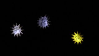 KLZ: “Zvjezdica” za početak nove sezone, foto: Iva Perinčić