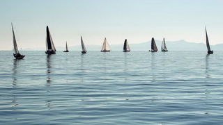 “Zadarska koka”: Regata za sve generacije snimljena iz “koke” “Zadarska koka”: Regata za sve generacije snimljena iz “koke”