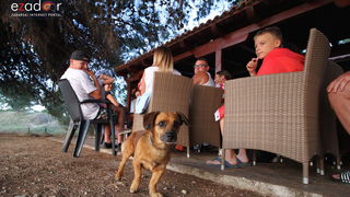 Bibinje: Navijanje za Vatrene i fešta nakon pobjede nad Engleskom