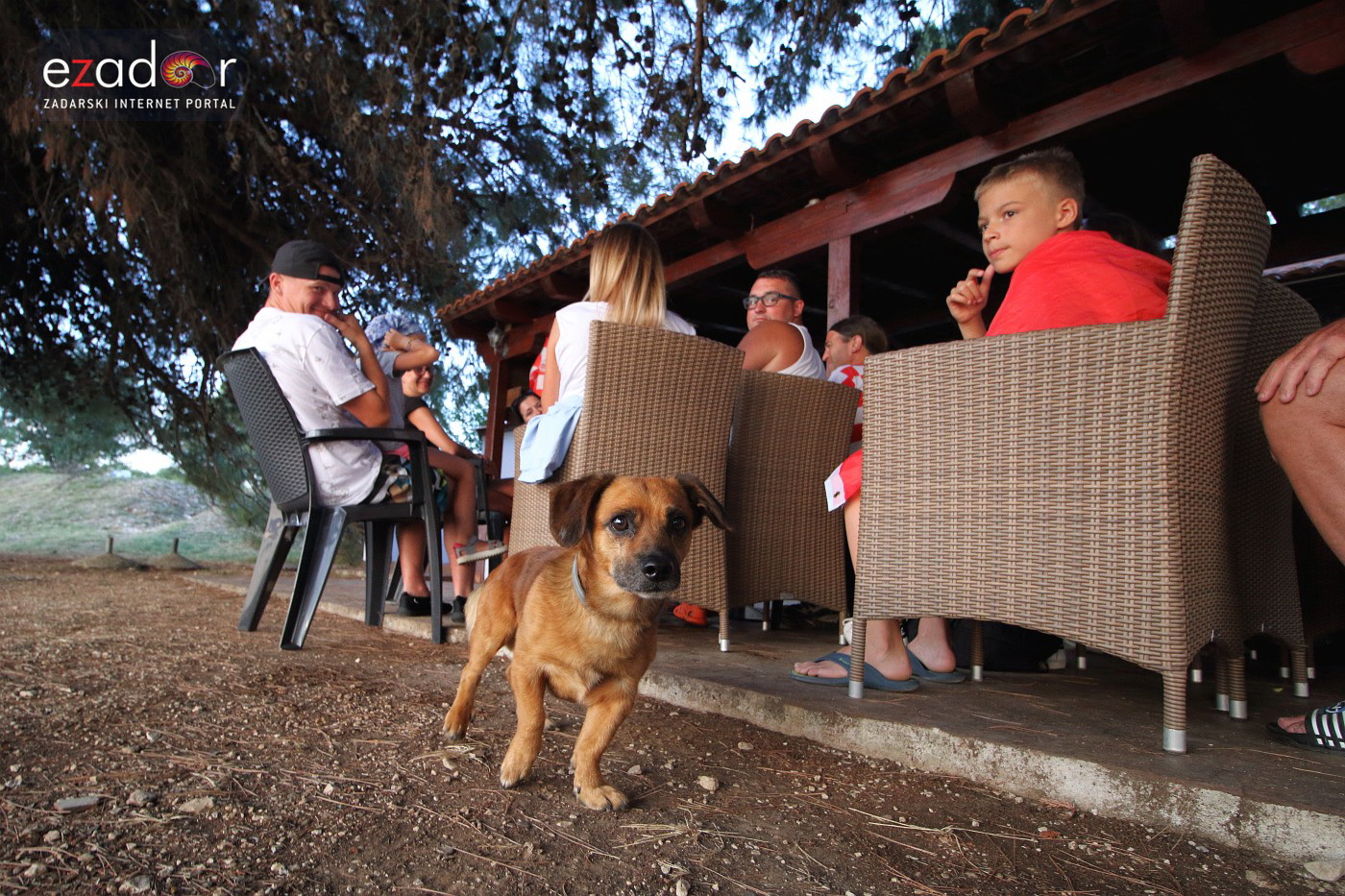 Bibinje: Navijanje za Vatrene i fešta nakon pobjede nad Engleskom