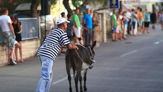 Trka Tovarov – 48. Memorijal Kenje Vijole Sukošan  Photo: Leo Banić