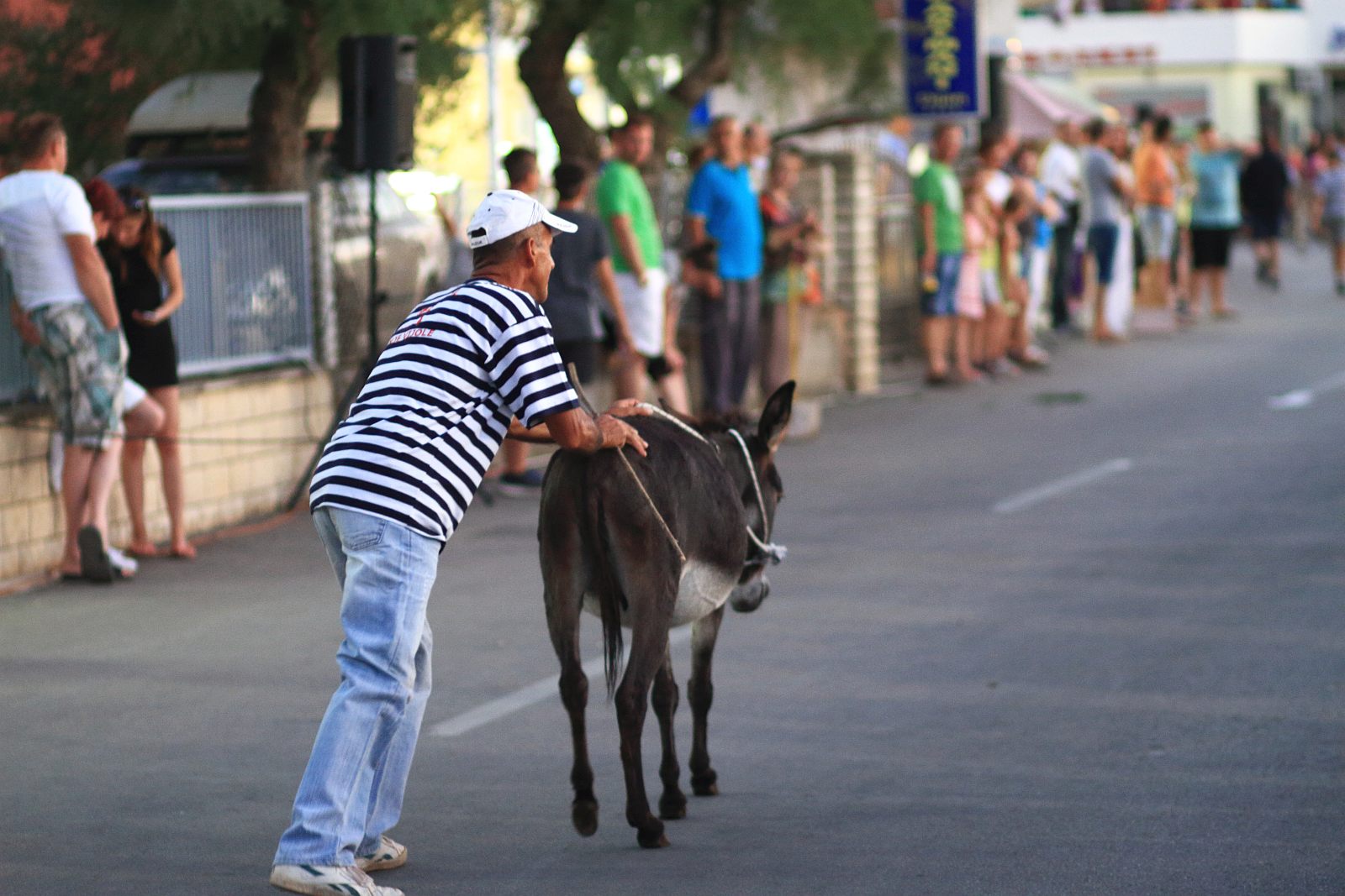 Trka Tovarov – 48. Memorijal Kenje Vijole Sukošan  Photo: Leo Banić