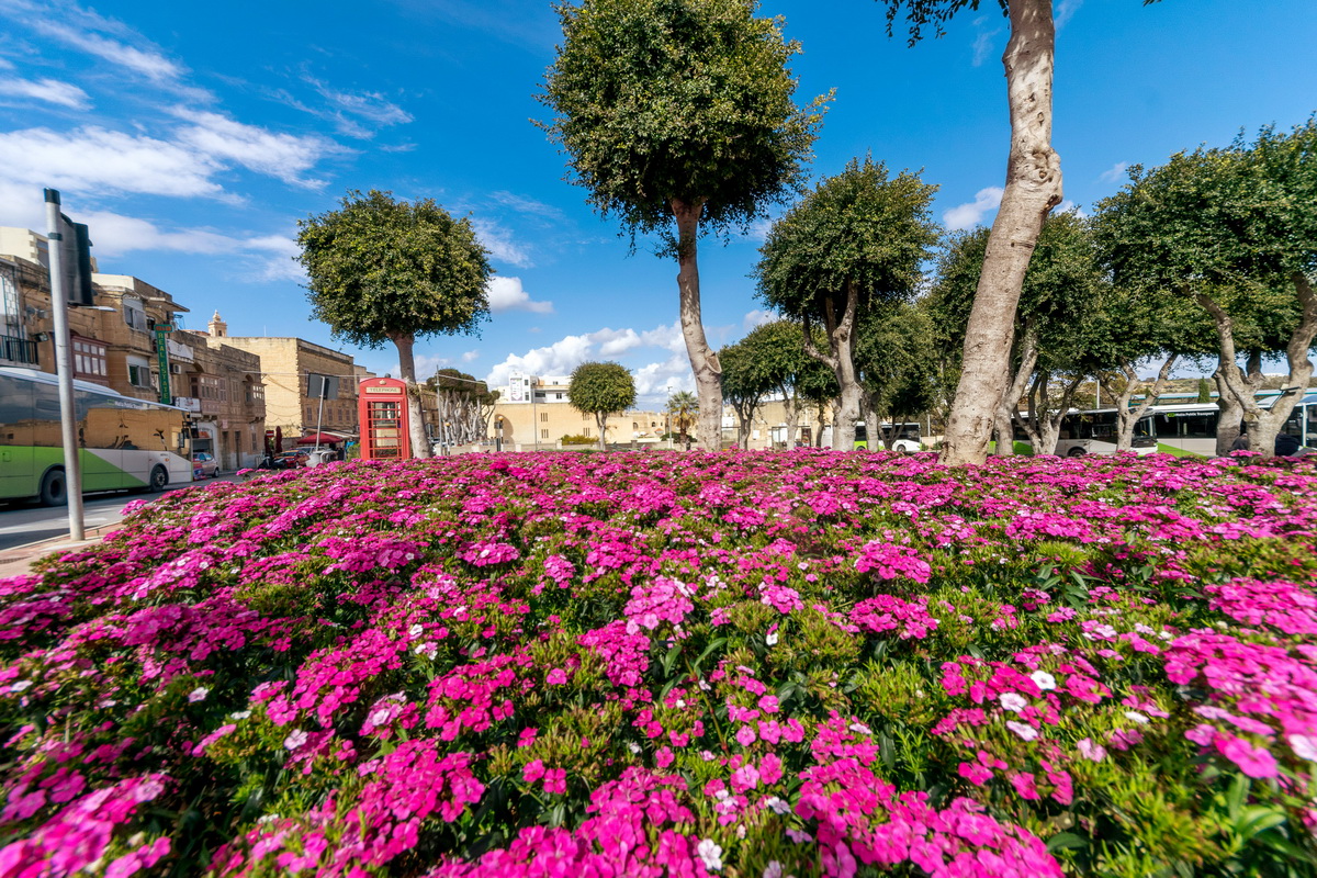 Malta, biser Mediterana Malta, biser Mediterana