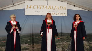 14. Cvitarijada u Nadinu