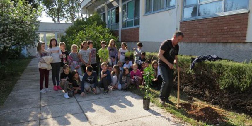 Sadnja u OŠ Š. K. Benje