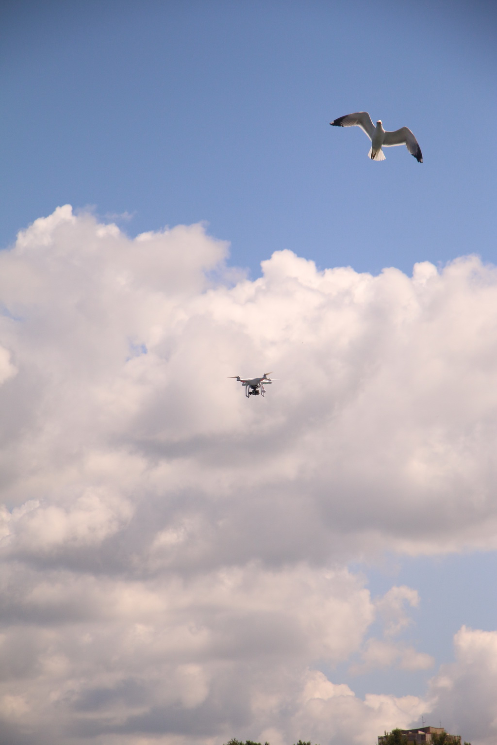 Ekološka akcija “Daj ruku za Jazine” Ekološka akcija “Daj ruku za Jazine”