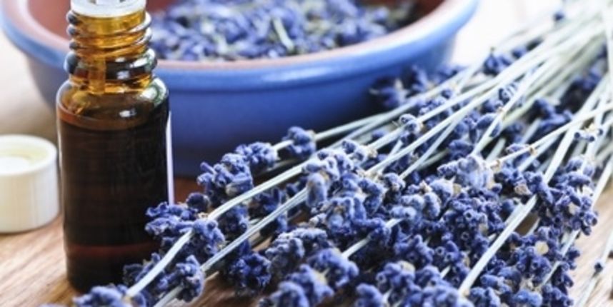 Kozmetika, lavanda, etericno ulje Kozmetika, lavanda, etericno ulje