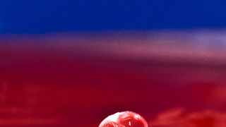 Čudesne kapi, foto: Leo Banić