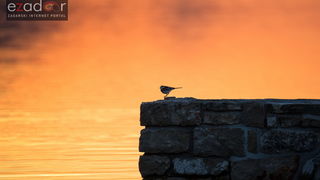 Zlatna nedjeljna zora na Vranskom jezeru