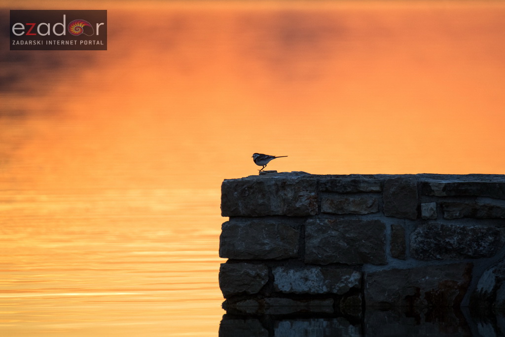 Zlatna nedjeljna zora na Vranskom jezeru