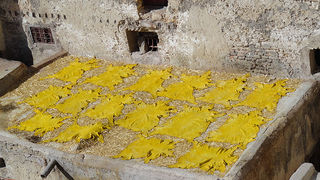 Skitnja Pere Šindije ulicama Maroka Skitnja Pere Šindije ulicama Maroka