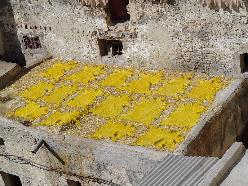 Skitnja Pere Šindije ulicama Maroka Skitnja Pere Šindije ulicama Maroka