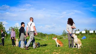 Kinološka udruga Malinois