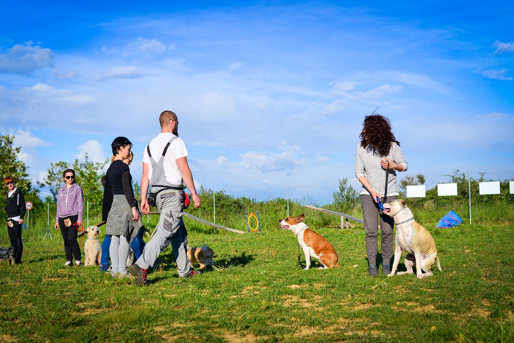 Kinološka udruga Malinois