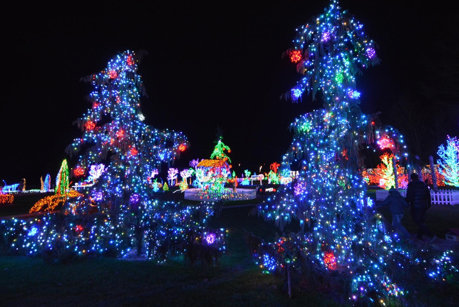 Uz 2,5 milijuna lampica zasjala ovogodišnja božićna bajka u Salajlandu Uz 2,5 milijuna lampica zasjala ovogodišnja božićna bajka u Salajlandu