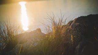 Đir po gradu, 22. siječnja 2016., foto: Iva Perinčić Đir po gradu, 22. siječnja 2016., foto: Iva Perinčić