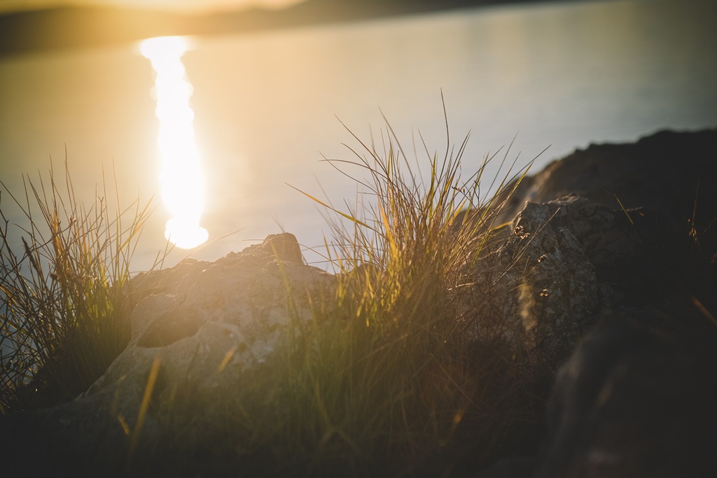 Đir po gradu, 22. siječnja 2016., foto: Iva Perinčić Đir po gradu, 22. siječnja 2016., foto: Iva Perinčić