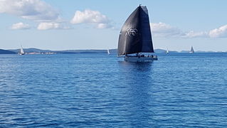 Zadarska Koka 2016. 22. listopada 2016. Foto: Mladen Malik Zadarska Koka 2016. 22. listopada 2016. Foto: Mladen Malik