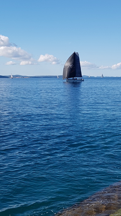 Zadarska Koka 2016. 22. listopada 2016. Foto: Mladen Malik Zadarska Koka 2016. 22. listopada 2016. Foto: Mladen Malik