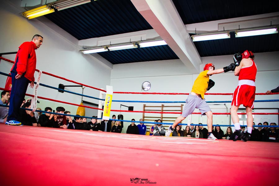 Dvorana BK Diabolik: Sparing zadarskih boksačkih klubova, foto: Iva Perinčić