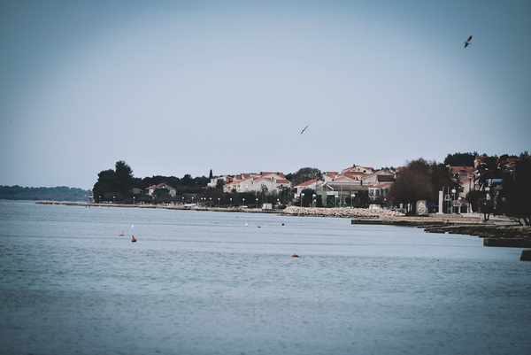 Đir po gradu: Škura bura u Zadru 14. ožujka 2016. Đir po gradu: Škura bura u Zadru 14. ožujka 2016.