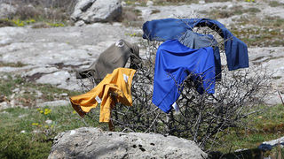 Ako ste u mogućnosti za mali izlet, posjetite Stap – veliko krško polje na Južnom Velebitu, na 960 m visine, foto: Vedran Penga