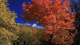 Paklenica: Boje jeseni, Foto: Mladen Radolovic Mrlja