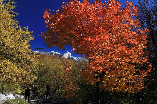 Paklenica: Boje jeseni, Foto: Mladen Radolovic Mrlja