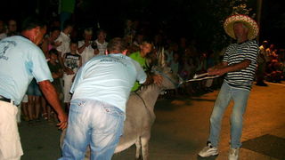 Sukosan: 40. Memorijal kenje Viole i svicarenje, 9. kolovoza 2009, Foto: Mirta Krupic