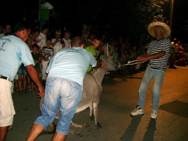 Sukosan: 40. Memorijal kenje Viole i svicarenje, 9. kolovoza 2009, Foto: Mirta Krupic