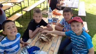 Plava čistka: Eko akcija “Učinimo Privlaku privlačnijom” Plava čistka: Eko akcija “Učinimo Privlaku privlačnijom”