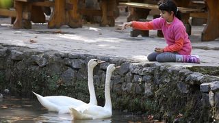 Nacionalni park Krka bilježi rekordan broj posjetitelja. Photo: Duško Jaramaz/PIXSELL