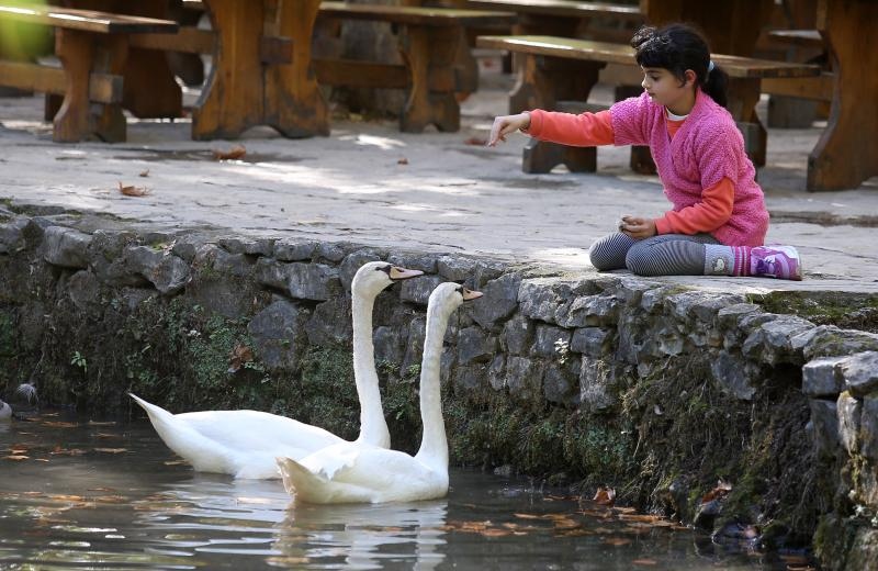 Nacionalni park Krka bilježi rekordan broj posjetitelja. Photo: Duško Jaramaz/PIXSELL