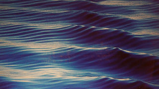 Izložba fotografija Ive Pervana i Mladena Radolovića Mrlje u crkvi SV.Donata Izložba fotografija Ive Pervana i Mladena Radolovića Mrlje u crkvi SV.Donata