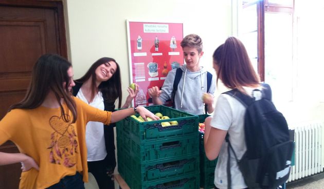 Gimnazija Juraj Baraković jabuke