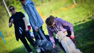 Kinološka udruga Malinois